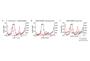 Enzyme Immunoassay validation image for anti-Haemophilus Influenzae antibody (ABIN180862) (Haemophilus Influenzae 抗体)