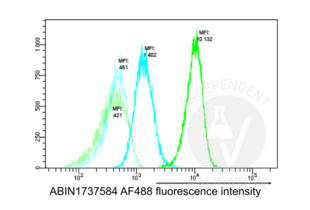 Flow Cytometry validation image for anti-Nucleophosmin (Nucleolar phosphoprotein B23, Numatrin) (NPM1) (AA 250-298), (C-Term) antibody (ABIN1737584) (NPM1 抗体  (C-Term))