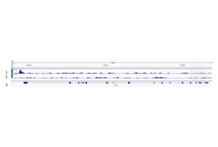 Cleavage Under Targets and Release Using Nuclease validation image for anti-ALX Homeobox 4 (ALX4) (AA 249-275) antibody (ABIN2844113) (ALX4 抗体  (AA 249-275))