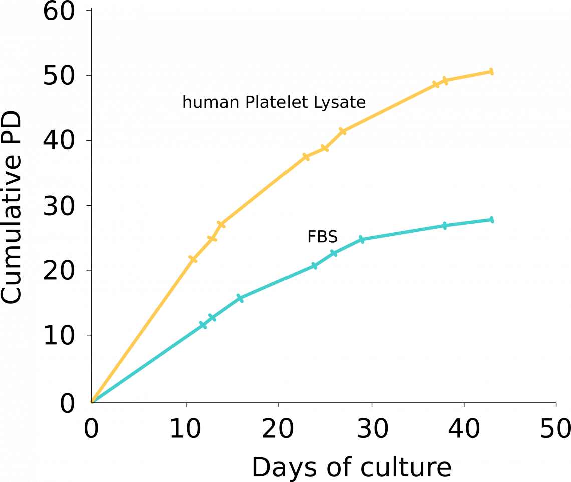 Fig 1: Cumulative population doubling of bone marrow-derived MSC was higher in human Platelet Lysate (ABIN6720614) compared to FBS. Fig 1: Cumulative population doubling of bone marrow-derived MSC was higher in human Platelet Lysate (ABIN6720614) compared to FBS.
