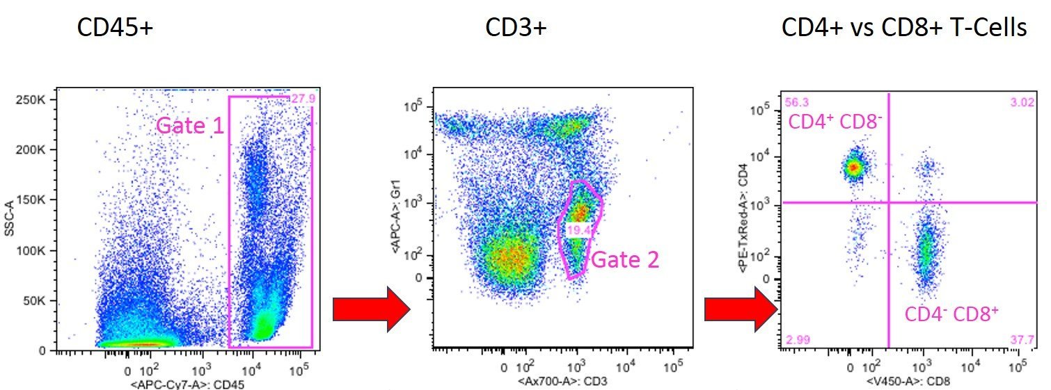 Flow cytometry image