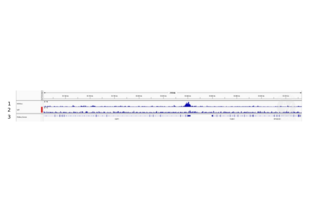 Cleavage Under Targets and Release Using Nuclease validation image for anti-Histone 3 (H3) (H3K9ac) antibody (ABIN2667854) (Histone 3 抗体  (H3K9ac))