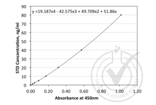 Angiopoietin 1 ELISA 试剂盒