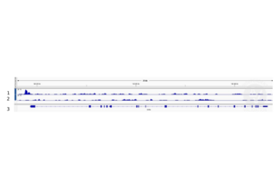 Cleavage Under Targets and Release Using Nuclease validation image for anti-ALX Homeobox 4 (ALX4) (AA 249-275) antibody (ABIN2844113)