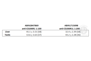 Immunohistochemistry validation image for anti-CD200 Receptor 1 (CD200R1) (AA 275-303), (C-Term) antibody (ABIN2847869) (CD200R1 抗体  (C-Term))
