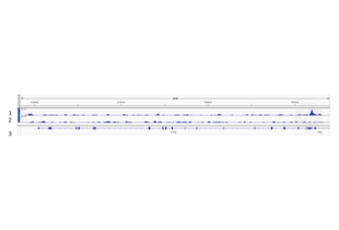 1. Alignment tracks from CUT&RUN targeting HOXD8 in mouse fore limb (11.5) cells using anti-HOXD8 antibody ABIN2850170, showing the Cdc45 locus. 2. Alignment tracks using negative control IgG, ABIN101961. 3. RefSeq Genes.