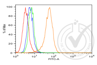 Figure 1: Positive control (high expression) MCF7 cells. The red histogram is unstained cells, the blue histogram is cells stained with secondary antibody alone, the green histogram is cells stained with rabbit IgG isotype control antibody plus secondary antibody and the orange histogram is cells stained with anti-AKT1 plus secondary antibody. The secondary antibody is a goat anti-rabbit IgG-FITC (Jackson Immunoresearch).