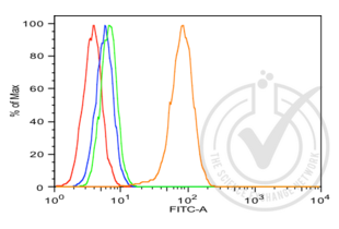 Figure 2: Positive control (lower expression) MDA-MB-468 cells. The red histogram is unstained cells, the blue histogram is cells stained with secondary antibody alone, the green histogram is cells stained with rabbit IgG isotype control antibody plus secondary antibody and the orange histogram is cells stained with anti-AKT1 plus secondary antibody. The secondary antibody is a goat anti-rabbit IgG-FITC (Jackson Immunoresearch).