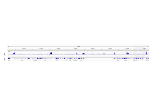 Cleavage Under Targets and Release Using Nuclease validation image for anti-Histone 3 (H3) (3meLys4) antibody (ABIN6971977)