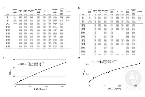 ENO2/NSE ELISA 试剂盒