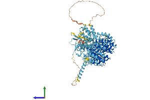 Protein Structure (PS) image for Proteasome (Prosome, Macropain) 26S Subunit, Non-ATPase, 1 (PSMD1) (AA 1-953) protein (His tag) (ABIN7555100)