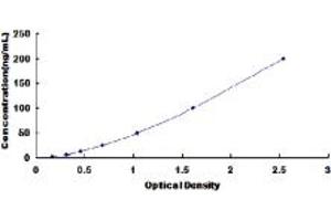 Typical standard curve (CD130/gp130 ELISA 试剂盒)