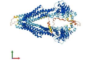 Protein Structure (PS) image for ATP-Binding Cassette, Sub-Family B (MDR/TAP), Member 5 (ABCB5) (AA 1-1257) protein (His tag) (ABIN7551761)