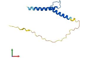 AlphaFold protein structure predicition of Human Recombinant TAL2 Protein, UniprotID Q16559