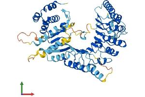 Protein Structure (PS) image for Leucine Rich Repeat Containing 14 (LRRC14) (AA 1-493) protein (His tag) (ABIN7559793)