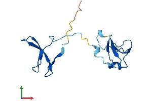 Protein Structure (PS) image for Polymerase (RNA) II (DNA Directed) Polypeptide I, 14.5kDa (POLR2I) (AA 1-125) protein (His tag) (ABIN7551543)
