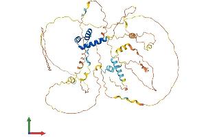 Protein Structure (PS) image for Aristaless Related Homeobox (ARX) (AA 1-564) protein (His tag) (ABIN7562263)