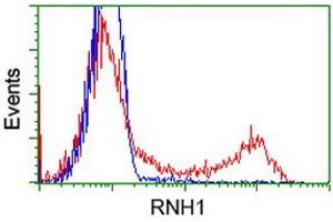 HEK293T cells transfected with either RC208360 overexpress plasmid (Red) or empty vector control plasmid (Blue) were immunostained by anti-RNH1 antibody (ABIN2453613), and then analyzed by flow cytometry. (RNH1 抗体)