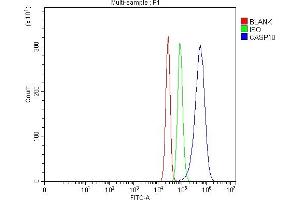 Flow Cytometry analysis of SiHa cells using anti-Caspase-10/CASP10 antibody (ABIN7601039). (Caspase 10 抗体  (AA 271-482))