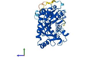 Protein Structure (PS) image for Tubulin tyrosine Ligase (TTL) (AA 1-377) protein (His tag) (ABIN7544762)