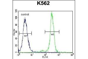 C Antibody (Center) (ABIN655633 and ABIN2845112) flow cytometric analysis of K562 cells (right histogram) compared to a negative control cell (left histogram). (CPA3 抗体  (AA 255-284))