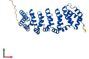 Protein Structure (PS) image for Calcium Binding Protein 39-Like (CAB39L) (AA 1-337) protein (His tag) (ABIN7552999)