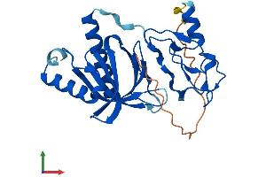 Protein Structure (PS) image for Pleckstrin Homology Domain Containing, Family F (With FYVE Domain) Member 2 (PLEKHF2) (AA 1-249) protein (His tag) (ABIN7560026)