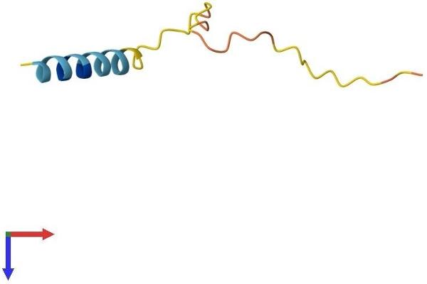PRCD Protein (AA 1-54) (Fc Tag)