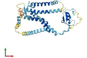 Protein Structure (PS) image for Peroxisomal Biogenesis Factor 12 (PEX12) (AA 1-359) protein (His tag) (ABIN7550726)