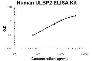 Human ULBP2 PicoKine ELISA Kit standard curve