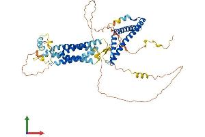 Protein Structure (PS) image for Occludin (OCLN) (AA 1-522) protein (His tag) (ABIN7550066)