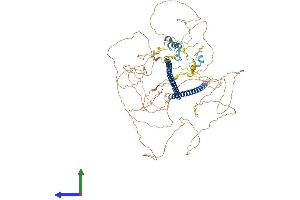 AlphaFold protein structure predicition of Mouse Recombinant Rbbp8 Protein, UniprotID Q80YR6