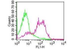 Flow Cytometry (FACS) image for anti-CD6 (CD6) antibody (FITC) (ABIN5027675) (CD6 抗体  (FITC))