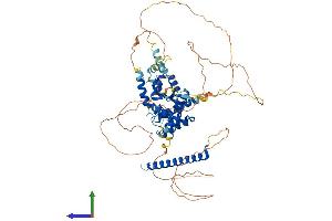 Protein Structure (PS) image for Nucleolar Protein 4 (NOL4) (AA 1-638) protein (His tag) (ABIN7549895)