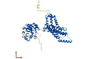 Protein Structure (PS) image for STEAP Family Member 3, Metalloreductase (STEAP3) (AA 1-488) protein (His tag) (ABIN7559363)