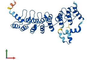 Protein Structure (PS) image for Ankyrin Repeat and SOCS Box Containing 7 (ASB7) (AA 1-318) protein (His tag) (ABIN7552413)
