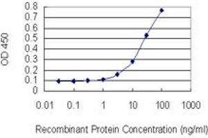 Detection limit for recombinant GST tagged PCGF6 is 1 ng/ml as a capture antibody. (PCGF6 抗体  (AA 225-324))