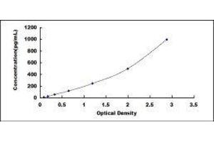 ELISA image for Cardiac Troponin T (cTnT) ELISA Kit (ABIN433508)