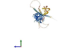 Protein Structure (PS) image for Gliomedin (GLDN) (AA 1-551) protein (His tag) (ABIN7554015)