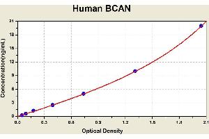 Diagramm of the ELISA kit to detect Human BCANwith the optical density on the x-axis and the concentration on the y-axis. (BCAN ELISA 试剂盒)