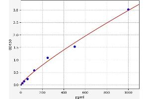 Typical standard curve
