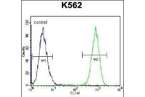 Flow Cytometry (FACS) image for anti-TAF4B RNA Polymerase II, TATA Box Binding Protein (TBP)-Associated Factor (TAF4B) (AA 647-675), (C-Term) antibody (ABIN656097)