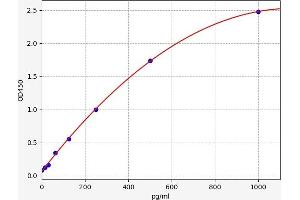 Typical standard curve (Superoxide dismutase copper chaperone ELISA 试剂盒)