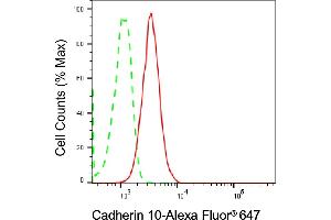 Flow cytometric analysis of Cadherin 10 expression in C2C12 cells using Cadherin 10 antibody (ABIN7797820), 1:2,000).