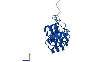 Protein Structure (PS) image for Cyclin-Dependent Kinase Inhibitor 2B (p15, Inhibits CDK4) (CDKN2B) (AA 1-138) protein (His tag) (ABIN7553067)