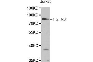 Western Blotting (WB) image for anti-Fibroblast Growth Factor Receptor 3 (FGFR3) (AA 39-138) antibody (ABIN1679839) (FGFR3 抗体  (AA 39-138))
