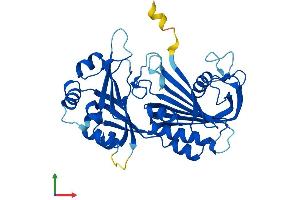 Protein Structure (PS) image for Ribonuclease P/MRP 40kDa Subunit (RPP40) (AA 1-363) protein (His tag) (ABIN7551537)