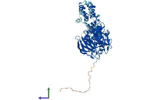 Protein Structure (PS) image for Kelch-Like 3 (KLHL3) (AA 1-587) protein (His tag) (ABIN7562114)