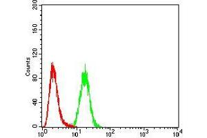 Flow Cytometry (FACS) image for anti-Calbindin 2 (CALB2) (AA 1-271) antibody (ABIN5542426)