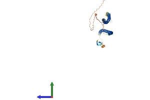 Protein Structure (PS) image for Keratin 36 (KRT36) (AA 1-467) protein (His tag) (ABIN7548843)